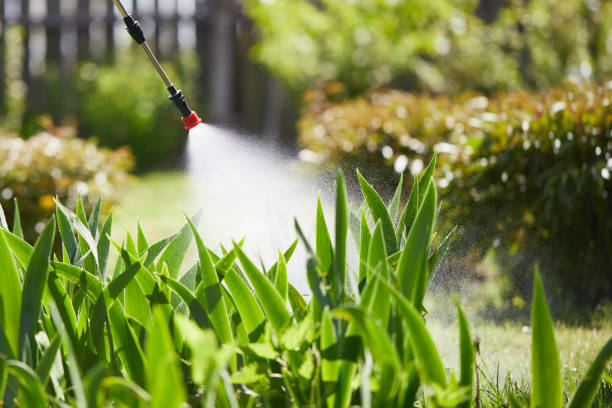 24/7 Emergency Fumigation Services experts in Dayton, WA