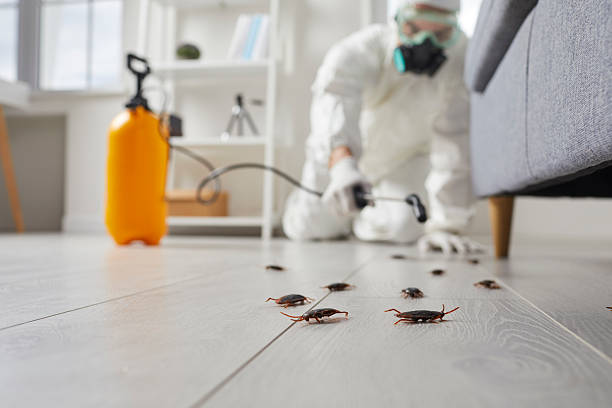 Trusted Fumigation Services service in Dayton, WA - Nex Pest Control