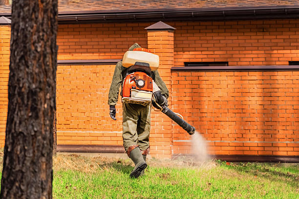 Trusted Rodent Control service in Dayton, WA - Nex Pest Control